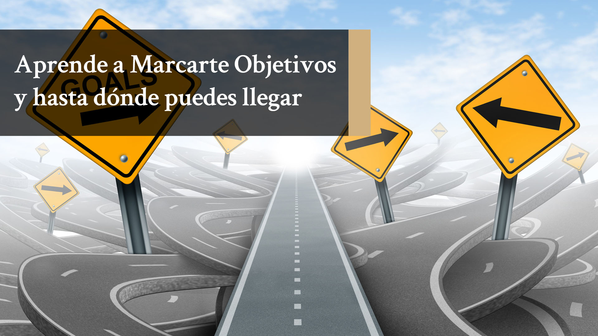 Como ganar masa muscular o perder grasa con metas a corto, medio y largo plazo