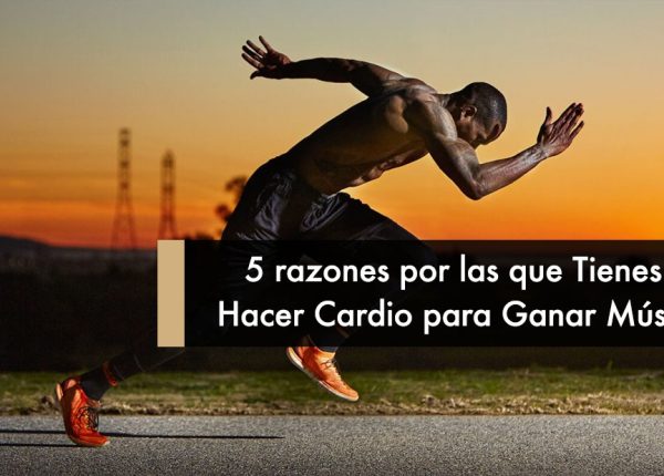5 razones por las que Tienes que Hacer Cardio para Ganar Músculo