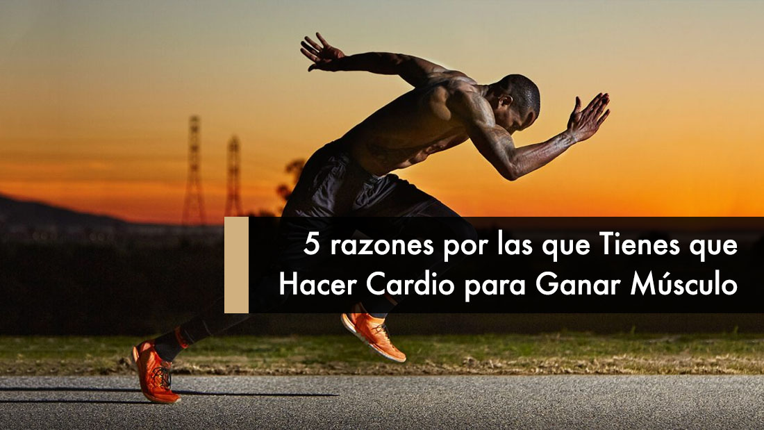 5 razones por las que Tienes que Hacer Cardio para Ganar Músculo