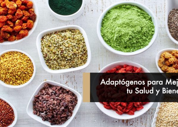 Adaptógenos para Mejorar tu Salud y Bienestar