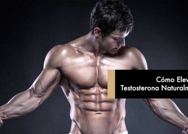 Cómo Elevar la Testosterona Naturalmente
