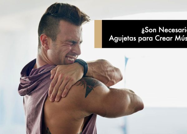 Son Necesarias las Agujetas para Crear Músculo?