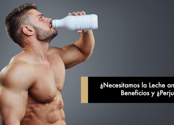 ¿Necesitamos la Leche animal? Beneficios y ¿Perjuicios?