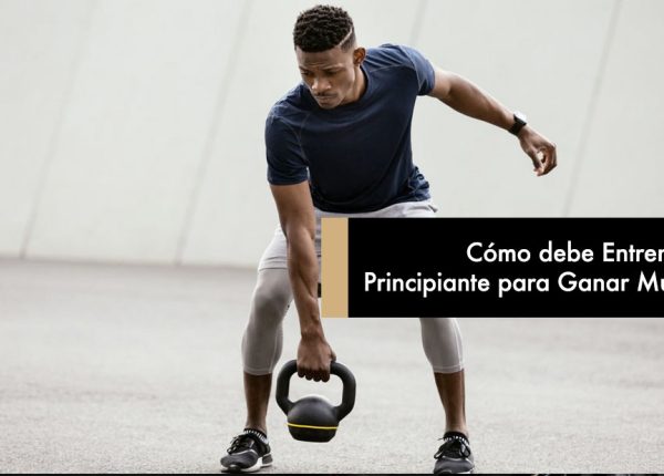 Cómo debe Entrenar un Principiante para Ganar Músculo
