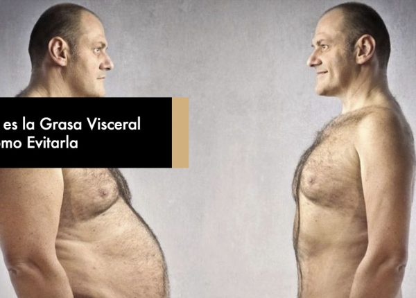 Qué es la Grasa Visceral y Cómo Evitarla