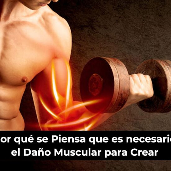 Por qué se Piensa que es necesario el Daño Muscular para Crear Músculo