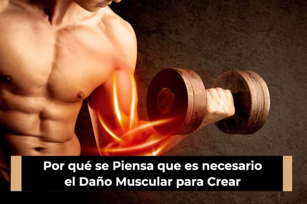 Por qué se Piensa que es necesario el Daño Muscular para Crear Músculo