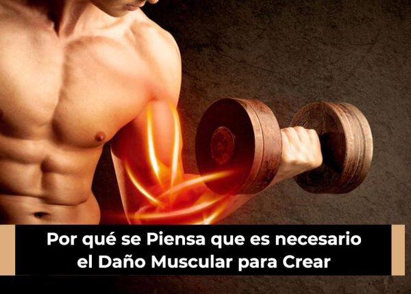 Por qué se Piensa que es necesario el Daño Muscular para Crear Músculo