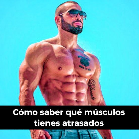 Cómo saber qué músculos tienes atrasados