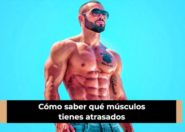 Cómo saber qué músculos tienes atrasados