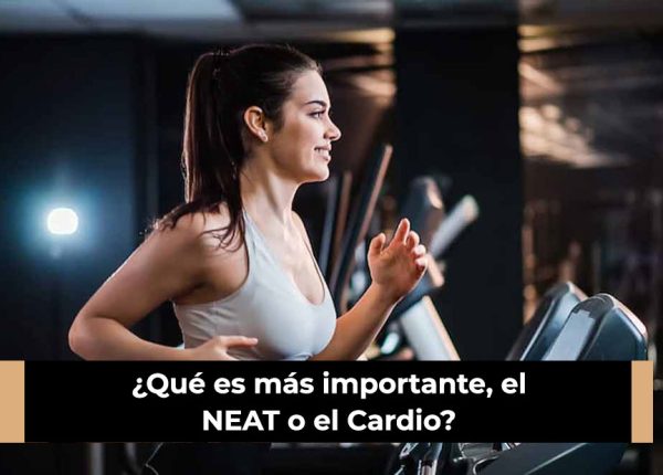 ¿Qué es más importante, el NEAT o el Cardio?