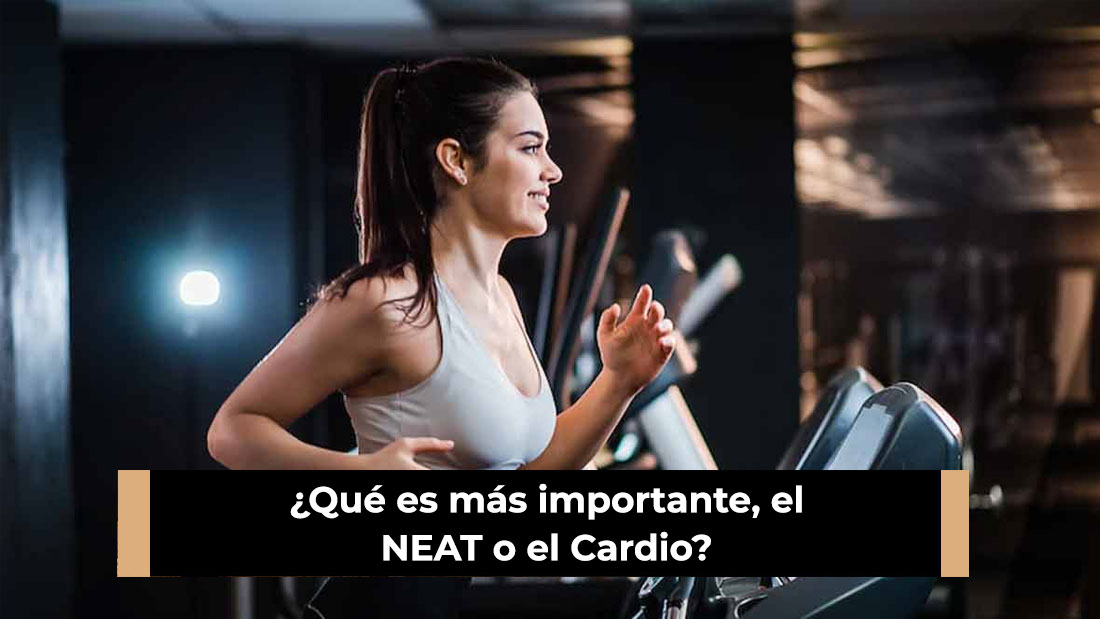 ¿Qué es más importante, el NEAT o el Cardio?